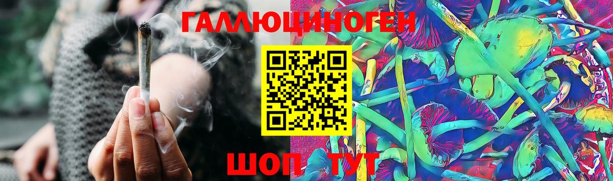 Галлюциногенные грибы Magic Shrooms  Вход с VPN  закладка  Черногорск 