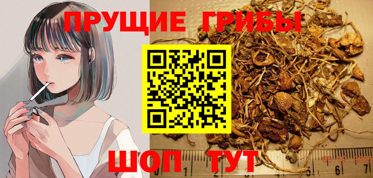 Псилоцибиновые грибы Magic Shrooms Черногорск